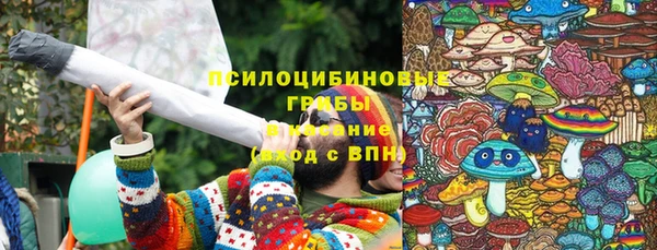 a pvp Алексин