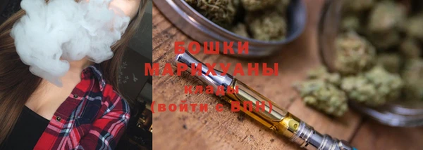 гидропоника Новозыбков