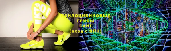 a pvp Алексин
