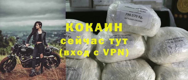 стафф Алзамай