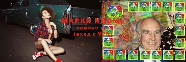 стафф Алзамай