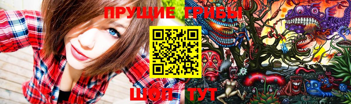Владимир  Галлюциногенные грибы ЛСД  Вход с VPN 