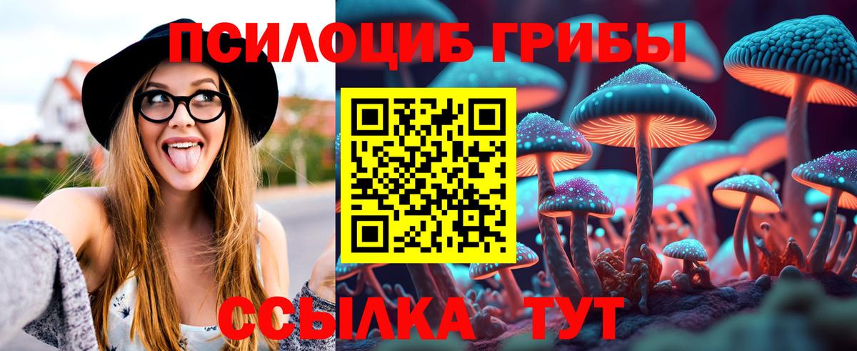 Псилоцибиновые грибы Psilocybe Владимир